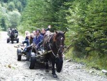 Balkan, Osteuropa, Rumänien: Das Herz Rumäniens - Kutschfahrt mit dem Pferdewagen